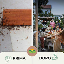 Carica l'immagine nel visualizzatore di Gallery, Albagarden Trappola Formiche con Gel Insetticida, 2 Casette Esca Anti Formiche, Elimina Colonia e Regina con Imidaclopri