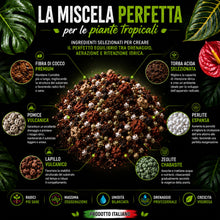 Carica l'immagine nel visualizzatore di Gallery, Clorophilla Tropical Mix PRO - Terriccio Premium per Monstera, Philodendron, Alocasia, Anthurium e Piante Tropicali | Su