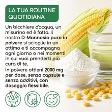 Carica l'immagine nel visualizzatore di Gallery, D-Mannosio puro in Polvere 250g – Raibu D Mannosio Polvere Confezionato e Testato in Europa I Naturale e Vegan I Cucchia