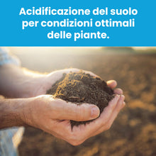 Carica l'immagine nel visualizzatore di Gallery, LERAVA® Solfato di Ferro (20m²) – Antimuschio per prato – Correttore pH e Anti-Ingiallimento – Antingiallente Fogliare –