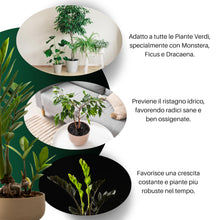 Carica l'immagine nel visualizzatore di Gallery, GebEarth® | Terriccio per Piante Verdi | Nutrimento Prolungato e Crescita Sana | Ideale per Monstera, Photos, Dracaena e