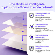 Carica l'immagine nel visualizzatore di Gallery, Wolkenfeld Trappole Farfalline Alimentari Adesive 10x – Antitarme Alimentari con Feromoni – Monitoraggio Dispensa e Cuci
