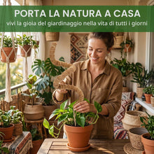 Carica l'immagine nel visualizzatore di Gallery, 3 Pezzi Sostegno per Piante Rampicanti,Supporti Piante,Sostegno Rampicanti Casa Giardino Balcone