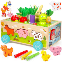 Carica l'immagine nel visualizzatore di Gallery, SACBRZZ Giochi Montessori 1 Anno, 6-in-1 Giochi Montessori 2 Anni, Magnetici Di Pesca in Legno, Abilità Motorie Giocattoli Educativi, Bambini Regalo per 1 2 3 4 Anni Compleanno Maschio Femmina