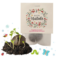 Carica l'immagine nel visualizzatore di Gallery, 10x "Buon Natale" bombe di semi – eco-regalo e piccolo pensiero natalizio – segnaposto sostenibile e portafortuna per co