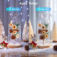 Carica l'immagine nel visualizzatore di Gallery, Stringa Luci di Natale a Batteria, 5M 50 LED Lucine a Fili di Rame