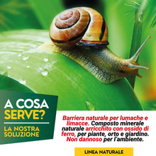Carica l'immagine nel visualizzatore di Gallery, Albagarden - Lumachicida Naturale con Ossido di Ferro - Barriera Lumache e Limacce a Base di Minerali - per Piante Orto e Giardino - Granulare 750 gr