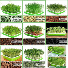 Carica l'immagine nel visualizzatore di Gallery, KAHEIGN 6Pz Vassoi per la Germinazione Dei Semi con Coperchio, 32cm x 26cm Vassoio di Germinazione di Grande Capacità Se