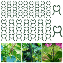 Carica l'immagine nel visualizzatore di Gallery, 200 Pezzi Clip di Supporto per Piante, Clip per Piante Rampicanti, Clip per Piante da Giardino, Morsetti per Piante Ramp