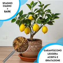Carica l'immagine nel visualizzatore di Gallery, ZOMA Terriccio per Agrumi professionale Con Ph Leggermente Acido - Terriccio agrumi Concimato naturalmente con il 20% di