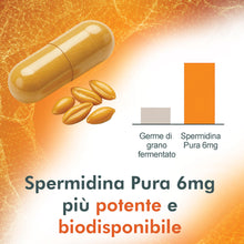 Carica l'immagine nel visualizzatore di Gallery, Spermidina Pura Alto Dosaggio | 6mg per dose | 120 capsule | Supporto Cellulare Anti-Age con Benefici per Cuore, Cervell