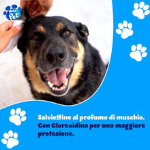 Carica l&#39;immagine nel visualizzatore di Gallery, Nice Pet Salviette IGIENIZZANTI Cani, Gatti con CLOREXIDINA - 100 Salviette - Proteggono Il PH Naturale - Profum al Muschio - Salvette Ideali per l&#39;igiene Manto di Cani e Gatti | Salviette Cane