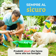 Carica l'immagine nel visualizzatore di Gallery, Albagarden Piretro Insetticida Piante Naturale - Elimina Afidi, Mosca Bianca, Moscerini E Lepidotteri - Rapida Azione Ab