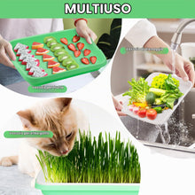Carica l'immagine nel visualizzatore di Gallery, Hejo 5 Pezzi Vassoio Germinazione,Riutilizzabile Germogliatore per Semi Alimentari,Impilabile Semenzaio Germinazione,Min