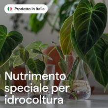 Carica l'immagine nel visualizzatore di Gallery, Illica, Concime Per Idrocoltura 100ml Fertilizzante Idroponica, Nutrimento Piante Idroponiche Vere Da Interno, Piante Ve