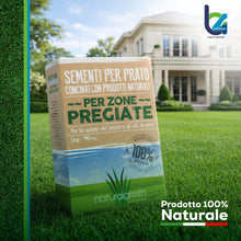 Carica l'immagine nel visualizzatore di Gallery, B4Green Semi Prato Inglese Professionale (40m²) per Giardino di Pregio