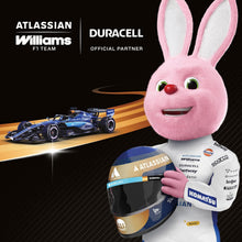 Carica l'immagine nel visualizzatore di Gallery, DURACELL AA Batterie Alcaline Plus (Confezione da 36) 1.5V, LR06
