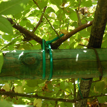 Carica l'immagine nel visualizzatore di Gallery, TENAX Tubetto Agricolo Verde 1000g Diametro 2mm, Legatura in PVC per Piante, ortaggi e Fiori, Lunghezza Circa 240 m,1 item