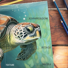 Carica l'immagine nel visualizzatore di Gallery, Zenacolor - 72 Matite Colorate - Per Bambini e Professionnali