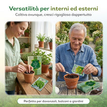 Carica l'immagine nel visualizzatore di Gallery, Nojus - 15 Confezioni di Semi di Erbe Varie - Massima Qualità -Pedaggio per Bevande - Kit di Semi di Piante Varie - Semi