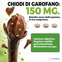 Carica l'immagine nel visualizzatore di Gallery, Enzimi Digestivi Completi con DigeZyme® e Chiodi di Garofano, 60 Compresse