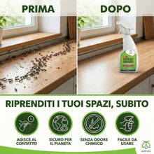 Carica l'immagine nel visualizzatore di Gallery, Pestmatic® Spray Anti Formiche, Senza Veleno, Adatto agli Animali