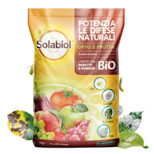 Carica l'immagine nel visualizzatore di Gallery, Solabiol Zeolite Cubana, Polvere di Roccia, Corroborante Che combatte e previene Insetti e Funghi delle Piante. Ideale p