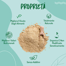 Carica l'immagine nel visualizzatore di Gallery, Lievito Alimentare in Scaglie Secco e Biologico - 100 g. Naturalmente Senza Glutine Lattosio e Agenti Lievitanti. Lievit