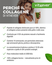 Carica l'immagine nel visualizzatore di Gallery, vit4ever Collagene in Polvere 1000 g (1 kg) - Tipi 1 e 3