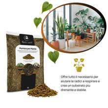 Carica l'immagine nel visualizzatore di Gallery, GebEarth® | Pomice per piante fine da 3/6 mm【1 L 】| Migliora la salute radicale di Bonsai e Piante Grasse | Leggera e ad