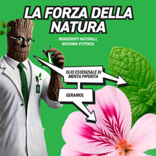 Carica l'immagine nel visualizzatore di Gallery, RepellShield® Spray Ragni e Ragnatele per Porte, Finestre, Battiscopa, Angoli - 250ml - Non Macchia - con Menta Piperita