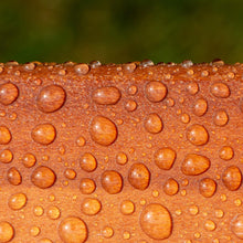 Carica l'immagine nel visualizzatore di Gallery, Roxil Impregnante legno idrorepellente (1 litro) -10 anni sigillante per legno, trattamento trasparente impermeabilizzan