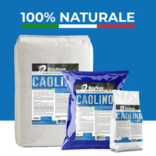 Carica l'immagine nel visualizzatore di Gallery, Caolino corroborante potenziatore difese naturali MOSCA DELL'OLIVO (1 kg)
