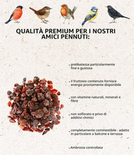 Carica l'immagine nel visualizzatore di Gallery, Dehner Natura Premium mangime per uccelli selvatici, con uvetta, non solforato, 2 kg