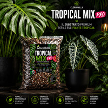Carica l'immagine nel visualizzatore di Gallery, Clorophilla Tropical Mix PRO - Terriccio Premium per Monstera, Philodendron, Alocasia, Anthurium e Piante Tropicali | Su