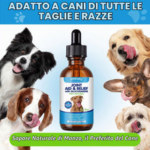 Carica l'immagine nel visualizzatore di Gallery, Tonico Articolazioni per Cani, 100% Naturale per la Cura Delle Articolazioni con Curcuma, Favorisce la Mobilità e la Flessibilità, Integratore per anche e Articolazioni per Cani, Gusto Pancetta, 60 ml