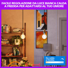 Carica l'immagine nel visualizzatore di Gallery, Philips Smart LED Lamp Filament 2-pack - Illuminazione LED intelligente - Luce bianca calda o fredda - E27-60W - Traspar