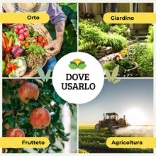 Carica l'immagine nel visualizzatore di Gallery, Albagarden - Olio Bianco Vegetale Di Soia Per Cocciniglia, Afidi, Mosca Bianca, Insetti - Olio Vegetale Di Soia 100% - C