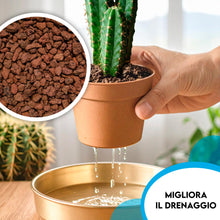Carica l'immagine nel visualizzatore di Gallery, ZOMA VULC Lapillo vulcanico per piante 10/16 mm, migliora drenaggio e composizione del substrato, Ideale per bonsai, pia