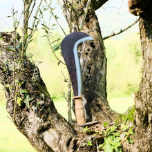 Carica l'immagine nel visualizzatore di Gallery, topolenashop Roncola Ronca con Lama 30 cm Professionale Tipo Bergamo con Manico in Cuoio Falcetto per Legna, Innesto Ram