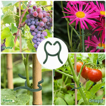 Carica l'immagine nel visualizzatore di Gallery, 200 Pezzi Clip di Supporto per Piante, Clip per Piante Rampicanti, Clip per Piante da Giardino, Morsetti per Piante Ramp