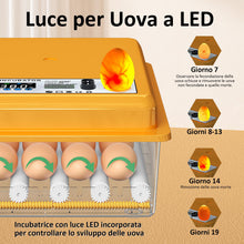 Carica l'immagine nel visualizzatore di Gallery, Incubatrice per Uova con Controllo della Temperatura e Rotazione Automatica per 16 uova, Incubatrice per Uova Automatica con rulli regolabili e aggiunta automatica di acqua