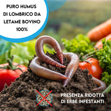 Carica l'immagine nel visualizzatore di Gallery, ZOMA HUMUZOM Humus Di Lombrico 100% Biologico Italiano - Fertilizante Organico Puro Che Contiene Gli Stessi Enzimi Di 50