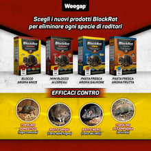 Carica l'immagine nel visualizzatore di Gallery, Veleno per Topi e Ratti in Mini Blocchi ai Cereali, Esca Topicida Professionale Potente, Ratticida per Uso Esterno e Int