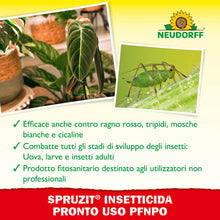 Carica l'immagine nel visualizzatore di Gallery, Neudorff Spruzit Insetticida Pronto Uso PFnPO – Combatte parassiti come mosche bianche, cocciniglie a scudo, cocciniglie