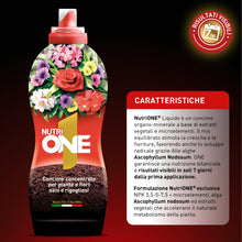 Carica l'immagine nel visualizzatore di Gallery, NutriONE Concime Liquido Concentrato per Piante e Fiori per risultati in 7 Giorni! 1L