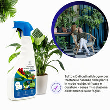 Carica l'immagine nel visualizzatore di Gallery, GebEarth® | Rame e Zolfo Per Piante Spray 1L | Integratore per Piante contro Ingiallimenti, Carenze, Macchie Brune, Oidi