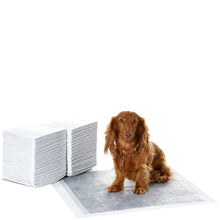 Carica l'immagine nel visualizzatore di Gallery, Amazon Basics Tappetini al carbone con controllo degli odori per l'addestramento di cani e cuccioli, a prova di perdite con superficie ad asciugatura rapida, Standard (confezione da 80), Bianco