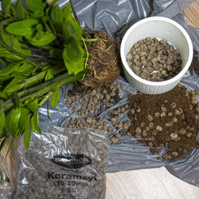 Carica l'immagine nel visualizzatore di Gallery, Browin 749950 Ciottoli di Argilla - Clay Pebbles 10-20 mm, 4l