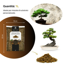 Carica l'immagine nel visualizzatore di Gallery, GebEarth® | Pomice per piante fine da 3/6 mm【1 L 】| Migliora la salute radicale di Bonsai e Piante Grasse | Leggera e ad